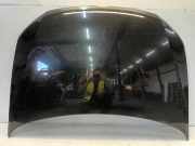 Motorhaube Volkswagen Polo V (6R) Schrägheck 1.2 TDI 12V BlueMotion (CFWA(Euro 5)) 2011-05 CFWA(Euro 5)