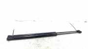 Gasdruckfedern Set Hinten Ford Fiesta 7 Schrägheck 1.0 EcoBoost 12V 100 (A0001E1T1.0 EcoBoost 12V 100) 2017