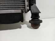 Radiator Ford Transit Custom Van 2.2 TDCi 16V (CVFF(Euro 5)) 2013