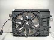 Kühlerventilator 9805897480 Peugeot Expert (V1/VA/VB/VE/VF/VT/VY) Van 2.0 Blue HDi 150 16V (DW10FCD(AHX)) 2018-04