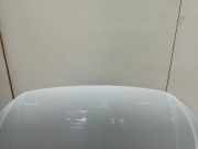 Motorhaube Volkswagen Polo VI (AW1) Schrägheck 5-drs 1.0 TSI 12V BlueMotion (DKJA) 2018 DKJA