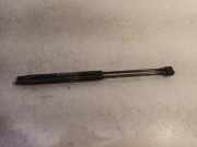 Gasdruckfedern Set Hinten Fiat Bravo (198A) Schrägheck 1.4 T-Jet 16V 120 (198.A.4000(Euro 4)) 2008