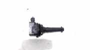 Zündspule 0221604001 Volvo XC70 (SZ) SUV XC70 2.4 T 20V (B5244T3) 2001-03
