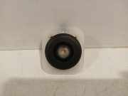 Innenbeleuchtung 264308332R Renault Scenic E-Tech Electric (RCB) SUV EV87 (6AM-40) 2025-06