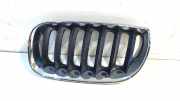 Grill Gitter Links 34029092 BMW X3 (E83) SUV 3.0d 24V (M57N-D30(306D2)) 2004-07