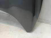 Motorhaube Ford Ka II Schrägheck 1.2 (169.A.4000(Euro 4; Euro 5)) 2009