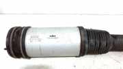 Federbein Links Hinten Mercedes-Benz S (W220) Limousine 5.5 S-600 36V Twin Turbo (M275.950) 2004-03