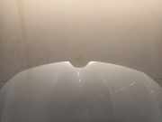 Motorhaube Renault Megane IV (RFBB) Schrägheck 5-drs 1.6 GT Energy TCe 205 EDC (M5M-450(M5M-B4)) 2016