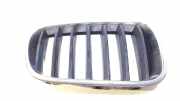 Grill Gitter Rechts 10626110 BMW X3 (F25) SUV xDrive20d 16V (N47-D20C) 2012-02