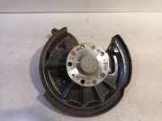 Radnabe Links Hinten Volkswagen Golf VIII (CD1) Schrägheck 2.0 GTI 16V (DNPA) 2020 DNPA