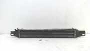 Ladeluftkühler Radiator 51790623 Fiat Fiorino (225) Van 1.3 JTD 16V Multijet (199.A.2000) 2008-11