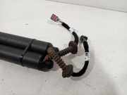 Gasdruckfedern Set Hinten 5E782785103S Skoda Octavia Kombi (NXAC) Kombi 5-drs 2.0 TDI 16V (DTTC) 2020