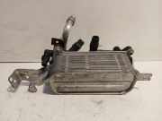 Ölkühler BMW 6 serie Gran Coupe (F06) Limousine 650i V8 32V (N63-B44B) 2015