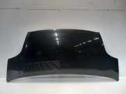Motorhaube Renault Trafic New (FL) Van 2.5 dCi 16V 145 (G9U-630(Euro 4)) 2010-06
