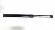 Gasdruckfedern Set Hinten 81780J7800 Kia Xceed SUV 1.0 T-GDi MHEV 12V (G3LE) 2021-07