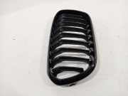 Grill Gitter Rechts 51117464496 BMW 1 serie (F20) Schrägheck 5-drs 125i 2.0 16V (B48-B20B) 2018-12