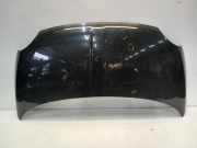 Motorhaube Fiat 500C (312) Cabrio 0.9 TwinAir 85 (312.A.2000) 2011-01