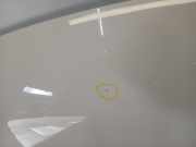 Motorhaube Abarth 500/595/695 Schrägheck 1.4 T-Jet 16V 695 (312.A.1000) 2012