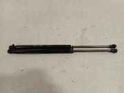 Gasdruckfedern Set Hinten 00518416340 Fiat Panda/Pandina (312) Schrägheck 1.2 69 (169.A.4000(Euro 5)) 2016