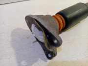 Stoßdämpfer Rechts Hinten 6791541 BMW 1 serie (F20) Schrägheck 5-drs 120i 1.6 16V (N13-B16A) 2012