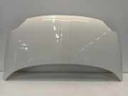 Motorhaube Fiat 500 (312) Schrägheck 1.4 16V (169.A.3000) 2010-02