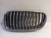 Grill Gitter Links 51137200727 BMW 5 serie (F10) Limousine 528i xDrive 16V (N20-B20A) 2013-05