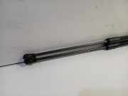 Gasdruckfedern Set Hinten 5FA827550B Seat Leon (KLB) Schrägheck 5-drs 1.4 TSI e-HYBRID 204 16V (DGEA) 2020-12