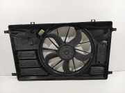 Kühlerventilatormotor 971338481 Ford Transit Custom Van 2.2 TDCi 16V (CVFF(Euro 5)) 2013