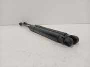 Gasdruckfeder Set Vorne 654704597R Renault Scénic IV (RFAJ) Großraumlimousine 1.3 TCE 16V (H5H-470(H5H-B4)) 2018