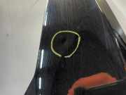 Kotfl?gel Links Vorne Volkswagen Golf VIII (CD1) Schr?gheck 2.0 GTI 16V (DNPA) 2021-03 DNPA