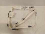 Vorhang Airbag Links 636046900F Renault Clio V (RJAB) Schrägheck 5-drs 1.3 TCe 130 16V (H5H-470(H5H-B4)) 2019-09