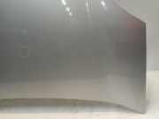 Motorhaube Fiat Doblo Cargo (263) Van 1.6 D Multijet (198.A.3000) 2010