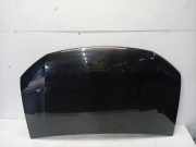 Motorhaube Dacia Sandero II Schrägheck 0.9 TCE 12V (H4B-411) 2014