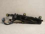 Türgriff Außen Links Hinten J8A226600AC Land + Range Rover Range Rover Evoque II (LZC/LZS/LZH) SUV 2.0 P200 16V AWD (PT204(AJ20P4)) 2019-08
