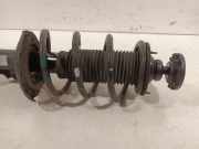 Federbein Links Vorne Hyundai i10 (B5) Schrägheck 1.0 12V (G3LA) 2019-07