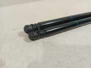 Gasdruckfedern Set Hinten 4G9827552B Audi A6 Avant (C7) Kombi 3.0 TDI V6 24V biturbo Quattro (CVUB(Euro 6)) 2015