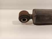 Stoßdämpfer Rechts Hinten L+R UITWISSELBAAR 8200715101 Renault Master II (FD/HD) Van 2.5 dCi 120 FAP (G9U-650) 2008