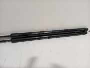 Gasdruckfedern Set Hinten L1TBS406A10AB Ford Puma SUV 1.0 Ti-VCT EcoBoost Hybrid 12V (BZJA) 2020