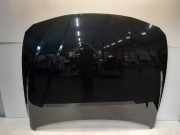 Motorhaube BMW 3 serie Touring (F31) Kombi 316i 1.6 16V (N13-B16A) 2014-04
