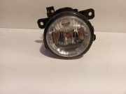Nebelscheinwerfer Rechts E3B515B243AA Ford EcoSport (JK8) SUV 1.0 EcoBoost 12V 125 (M1JC(Euro 5)) 2016-01
