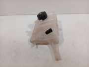 Kühlmittelbehälter 217104048r Renault Grand Scénic IV (RFAR) Großraumlimousine 1.2 TCE 130 16V (H5F-408(H5F-F4)) 2017