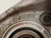 Radnabe Rechts Vorne 5WA407258B Volkswagen Golf VIII (CD1) Schrägheck 2.0 TSI R 16V 4Motion (DNFF) 2023 DNFF