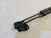 Gasdruckfedern Set Hinten 1S6827550E Volkswagen Up! (121) Schrägheck 1.0 12V 60 (CHYA) 2018 CHYA