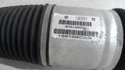 Federbein Links Hinten Audi A8 (D3) Limousine 4.2 V8 40V Quattro (BFM) 2003-01