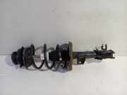 Federbein Rechts Vorne 50710804 Ford Ka II Schrägheck 1.2 (169.A.4000(Euro 4; Euro 5)) 2009