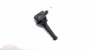 Zündspule 0221604001 Volvo XC70 (SZ) SUV XC70 2.4 T 20V (B5244T3) 2001-03
