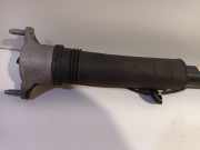 Stoßdämpfer Rechts Hinten A1773200300 Mercedes-Benz A (177.0) Schrägheck 2.0 A-250 Turbo 16V (M260.920) 2018