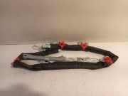 Vorhang Airbag Rechts 00505084090 Alfa Romeo MiTo (955) Schrägheck 1.6 JTDm 16V (955.A.3000) 2008