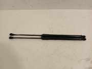 Gasdruckfedern Set Hinten 904508213R Renault Clio V (RJAB) Schrägheck 5-drs 1.0 TCe 100 12V (H4D-450) 2019