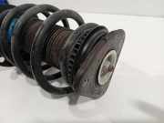 Federbein Rechts Vorne DV6118045LC Ford Transit Connect (PJ2) Van 1.5 TDCi ECOnetic (XVGA) 2016